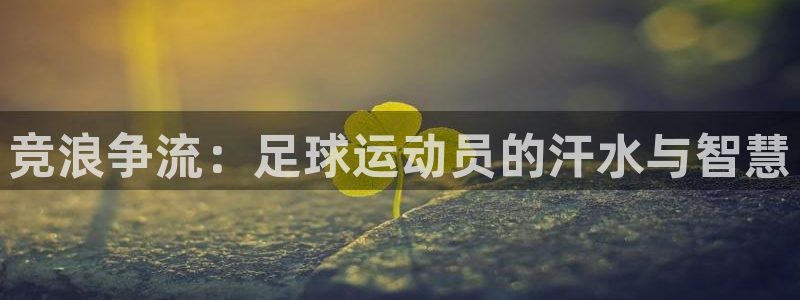 vsport体育官方正版app集团E.ON:竞浪争流:足球运